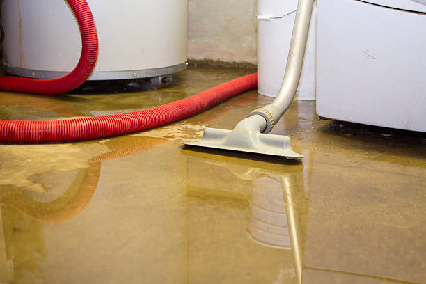 Best Carpet water damage restoration  in Fair Oaks, CA