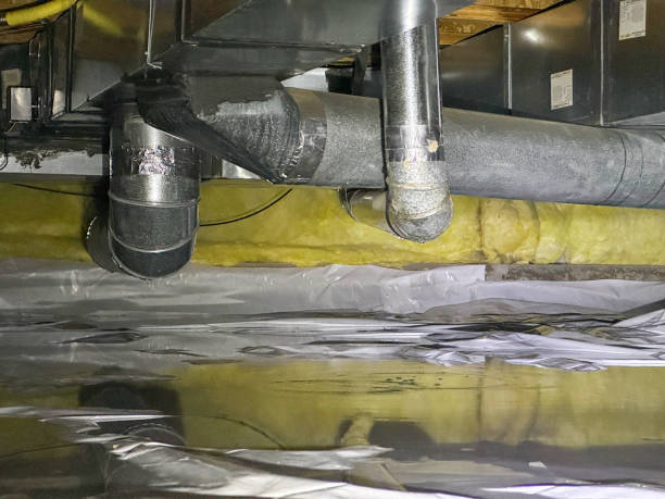 Best Professional water damage repair  in Fair Oaks, CA