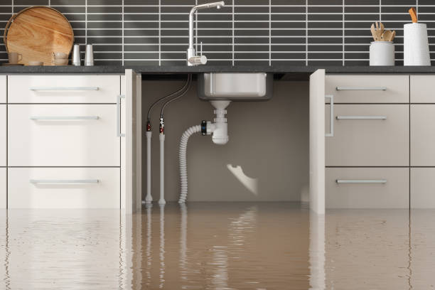 Best Water damage cleanup near me  in Fair Oaks, CA