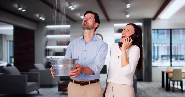 Best 24-hour water damage restoration  in Fair Oaks, CA