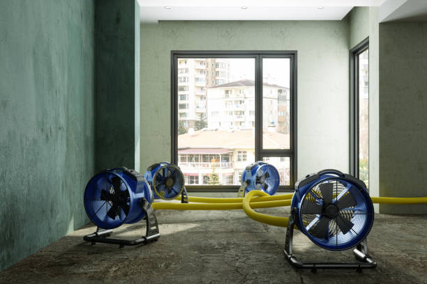 Best Fire Damage Restoration  in Fair Oaks, CA